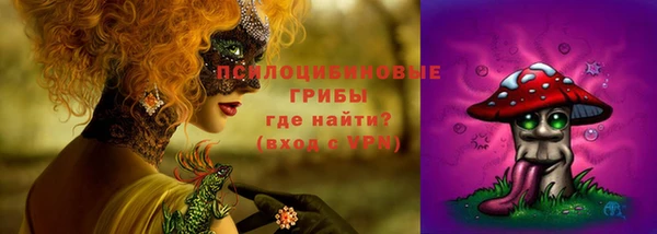 дживик Покачи