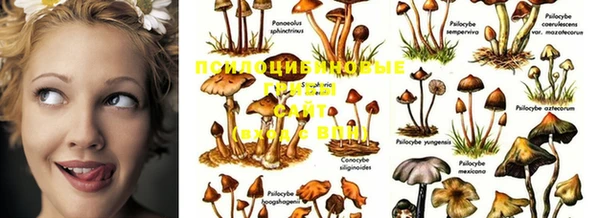 MESCALINE Покровск